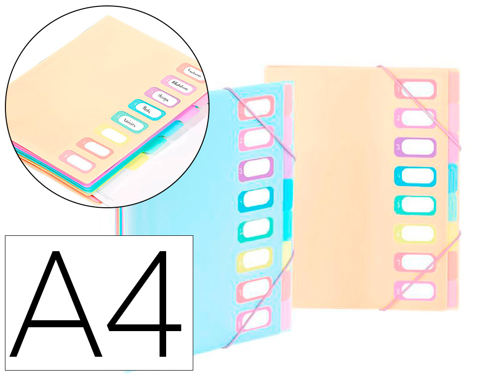 TRIEUR VIQUEL RAINBOW PASTEL 8 COMPARTIMENTS POLYPROPYLENE A4 25.5X32CM COLORIS BLEU     NUDE
